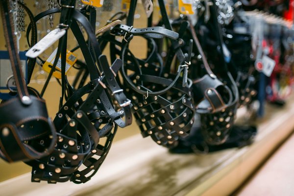 L'intérêt de choisir une muselière pour grand chien: confort et sécurité